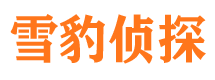 汉滨市私家侦探